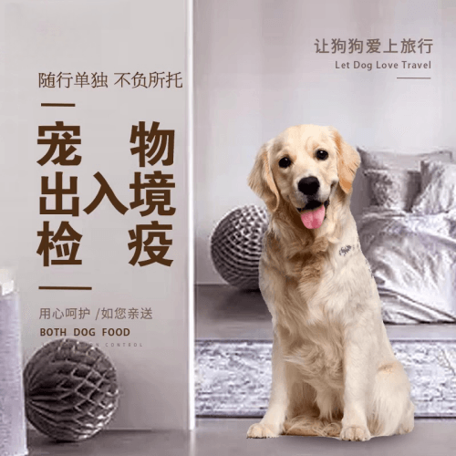马鞍山宠物托运到哥伦比亚猫狗宠物入境规定和
