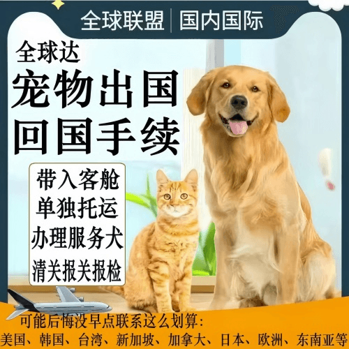 马鞍山宠物托运到柬埔寨宠物入境规定和要求