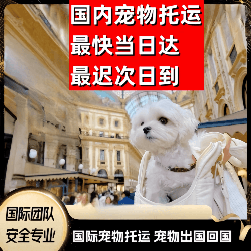 马鞍山到澳大利亚（澳洲）宠物入境规定和要求